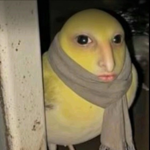 ricemilf